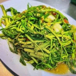 กระเฉดไฟแดง