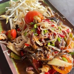 ราชาตำป่า เพชรเกษม 81