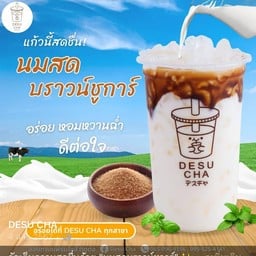 Dasucha เดสึชา ท่าบ่อ