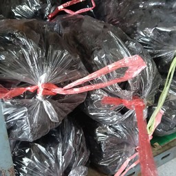 ถ่านกุงต้ม