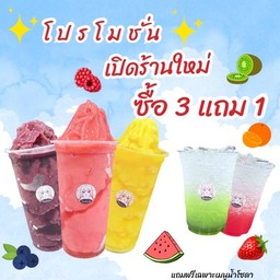 โปรโมชั่น 3แถม1