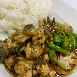 ผัดกะเพรา(อาหารป่า)(ราดข้าว)