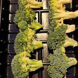 บล็อคโคลี่