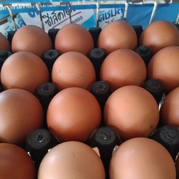 ไข่ไก่ 3 ใบ