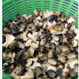 หอยนาต้ม