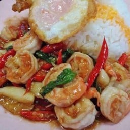 ข้าวราดกะเพรากุ้ง+ไข่ดาว