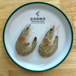 กุ้งขาว 虾