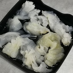 แมงกะพรุน