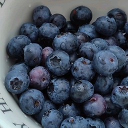 บลูเบอร์รี่