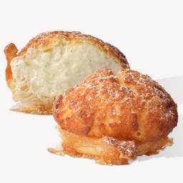 คามิชู X4