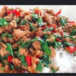 ไอรินโครตกะเพรา