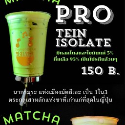 มัทฉะโปรตีน(ไอโซเลท) เย็น