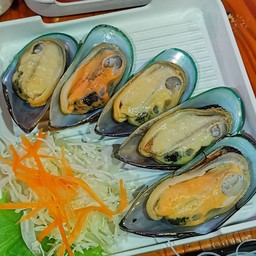 หอยนิวซีแลนด์ 5-6 ตัว