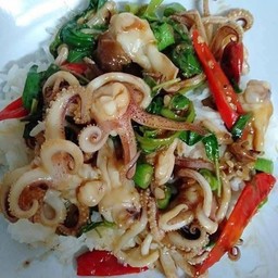 กระเพราหนวดหมึก