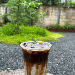 มัคคิอาโต้ ฮ้องยากแต้55