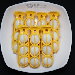 D19 ไข่นกกะทา