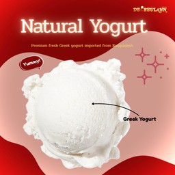 [Signature] Natural Yogurt  1 Cups Gelato