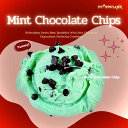 [Best Seller] Mint Chocolate Chips 1 Cups Gelato