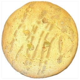 Pistachio Cookie No Ice Cream