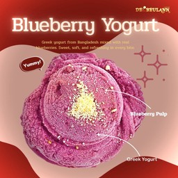[Signature🔥Blueberry Yogurt  Sherbet 1 Cups Gelato