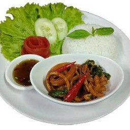 ข้าวปลาหมึกผัดซอส