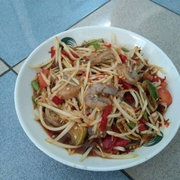 ต้นข้าวโพด