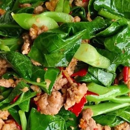 ผัดคะน้าหมูสับราดข้าว