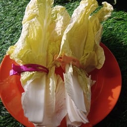 ผักกาดขาว