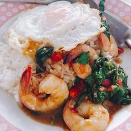 ข้าวกะเพรากุ้ง+ไข่ดาว