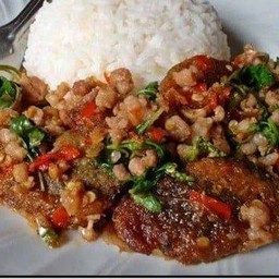 ข้าวผัดกระเพราหมูสับไข่เยี่ยวม้า