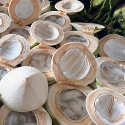 วุ้นมะพร้าวน้ำหอม(เป็นลูก)