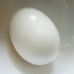 ไข่ต้ม