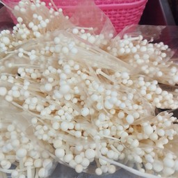 เห็ดเข็มทอง