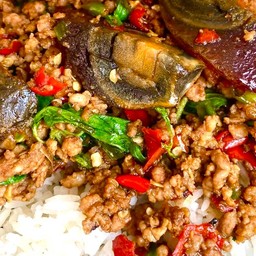 กะเพราไก่สับ+ไข่เยี่ยวม้า  ราดข้าว
