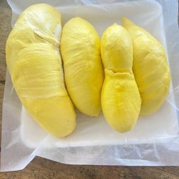 ทุเรียนปอน