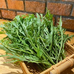 Organic Rocket