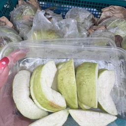 ฝรั่ง กล่อง