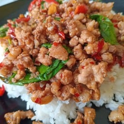 กาะเพราหมูสับราดข้าว
