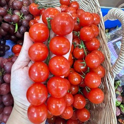 มะเขือเทศเชอรี่  630 กรัม