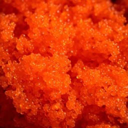 ไข่กุ้ง