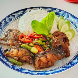 กะเพราปลาดุกทอดกรอบราดข้าว