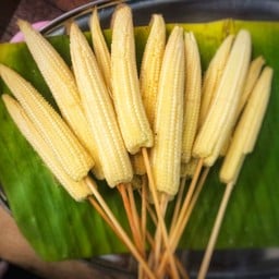 หม่าล่า รัชโย - ซอยพหลโยธิน30/1