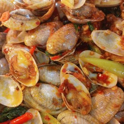 ผัดหอยลาย