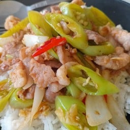 หมูผัดพริกอ่อนราดข้าว