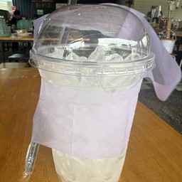 แก้ว น้ำแข็ง