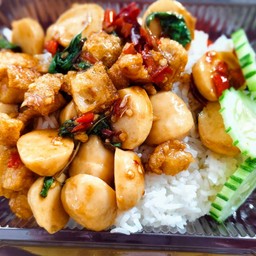 กะเพราโคตรเด็ด ร้านน้องปอร์เช่ พฤกษาฯ 2