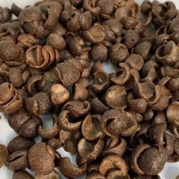 โกโก้ครัน,คอป