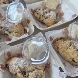 Cranberry Scone x Creamcheese