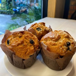Blueberry  Muffin