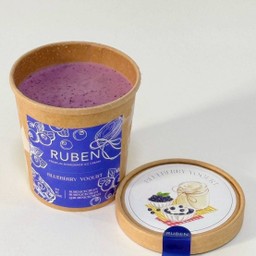 Blueberry Yogurt